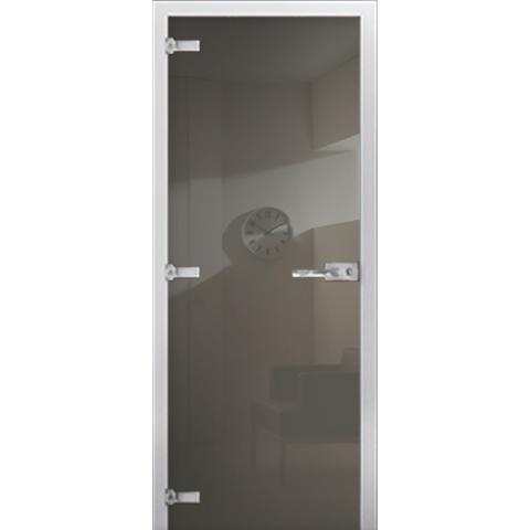 Cтеклянная межкомнатная дверь DS RAL 7003
