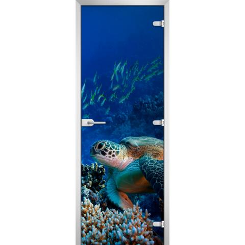 Дверь стеклянная Underwater World-03