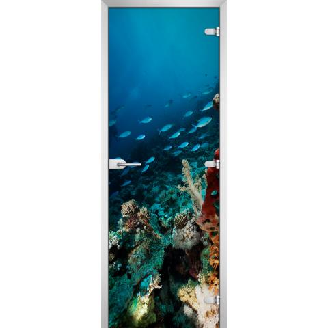 Дверь стеклянная Underwater World-11