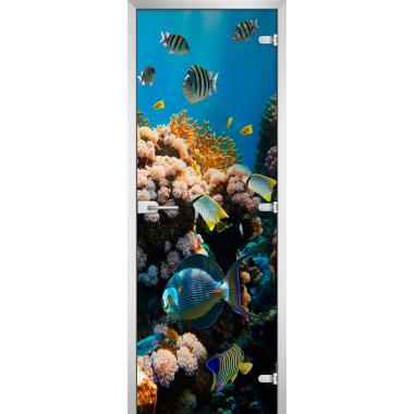 Дверь стеклянная Underwater World-14
