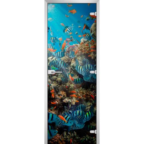 Дверь стеклянная Underwater World-16